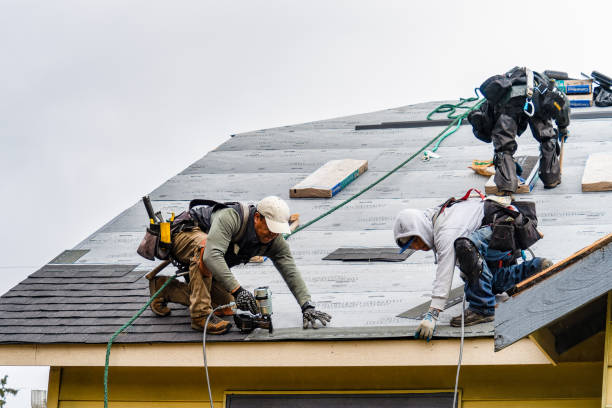 Professional Roofing technician working in Mexico, NY